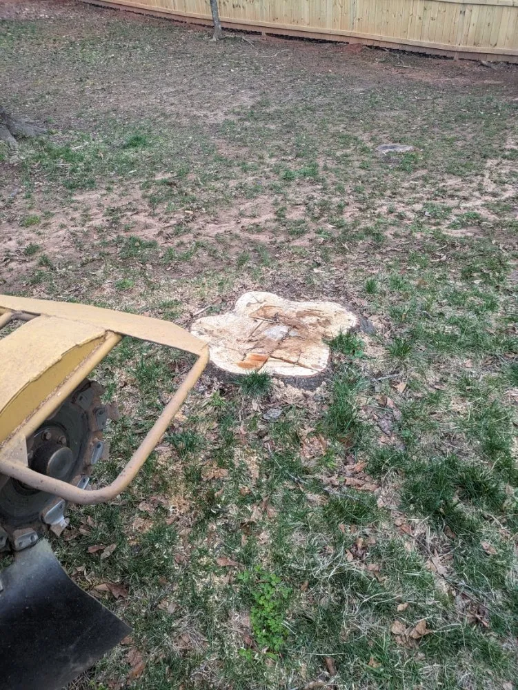 Reliable landscape installation for homes across Simpsonville, SC - M & M Stump Grinding