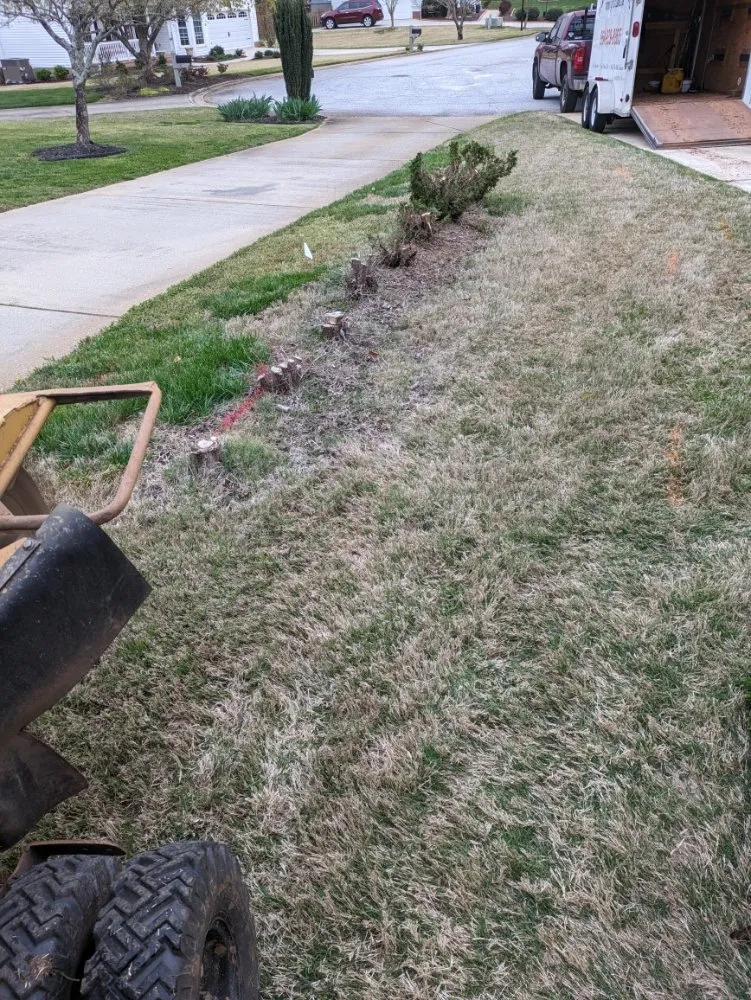 Custom outdoor landscaping with custom design across Simpsonville, SC - M & M Stump Grinding