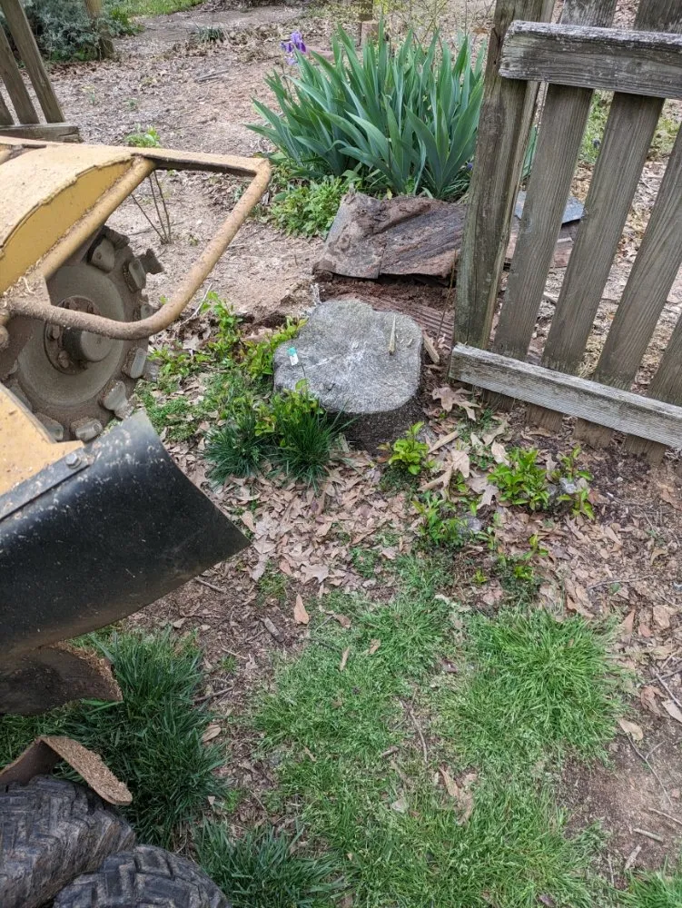 Reliable yard cleanup service experts serving Simpsonville, SC - M & M Stump Grinding