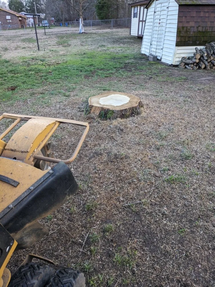 Top-rated outdoor landscaping for homes in Simpsonville, SC by M & M Stump Grinding