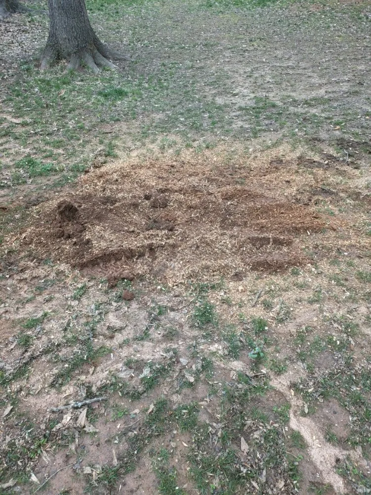 Local landscape design experts serving Simpsonville, SC - M & M Stump Grinding