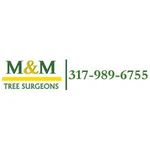 Top-rated lawn care service in Indianapolis, IN by M & M Tree Surgeons