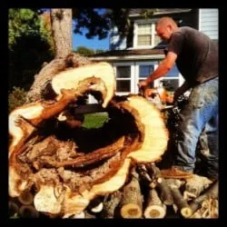 Local landscape design experts serving Indianapolis, IN - M & M Tree Surgeons