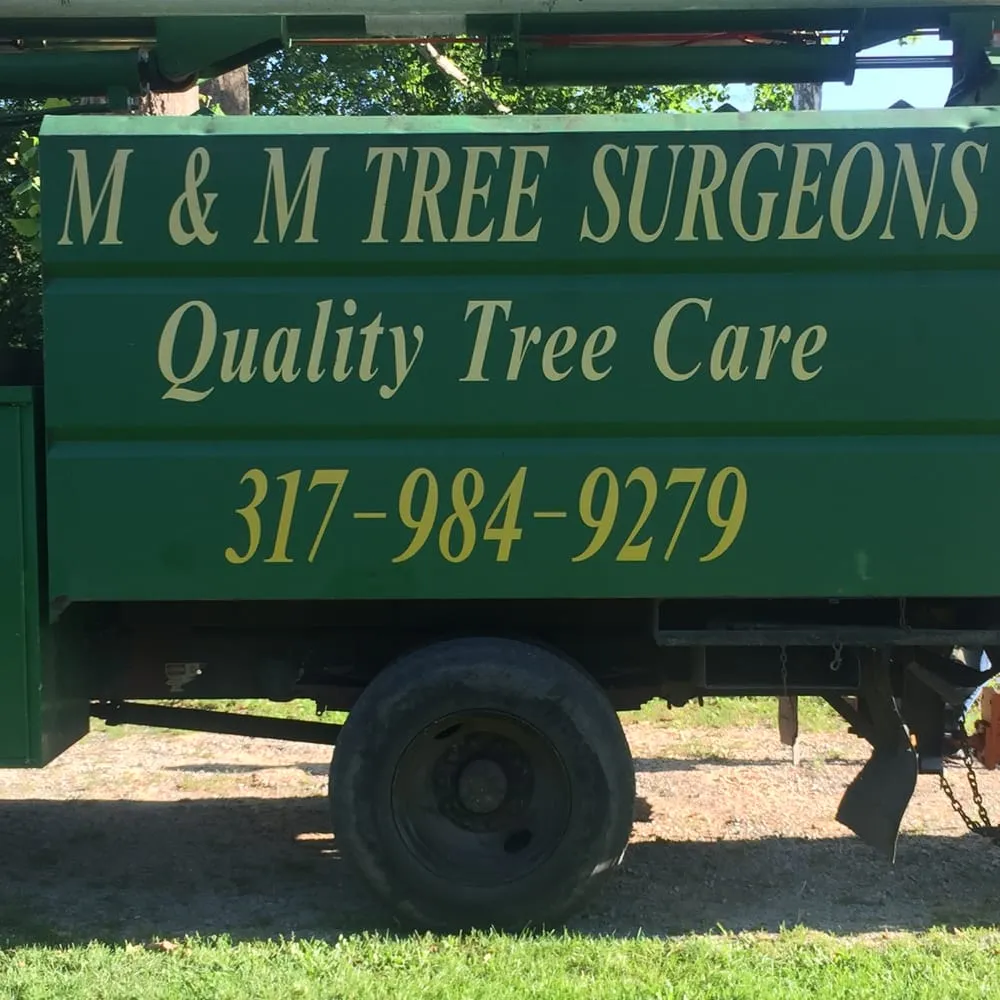 Custom lawn mowing service experts serving Indianapolis, IN - M & M Tree Surgeons