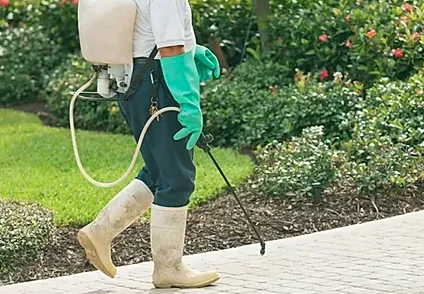 Reliable outdoor landscaping near you in Carson City, NV by M & N Lawn Care and Sprinkler Repair