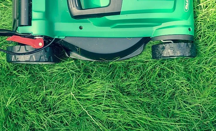 Top-rated lawn care service for beautiful yards in Carson City, NV by M & N Lawn Care and Sprinkler Repair