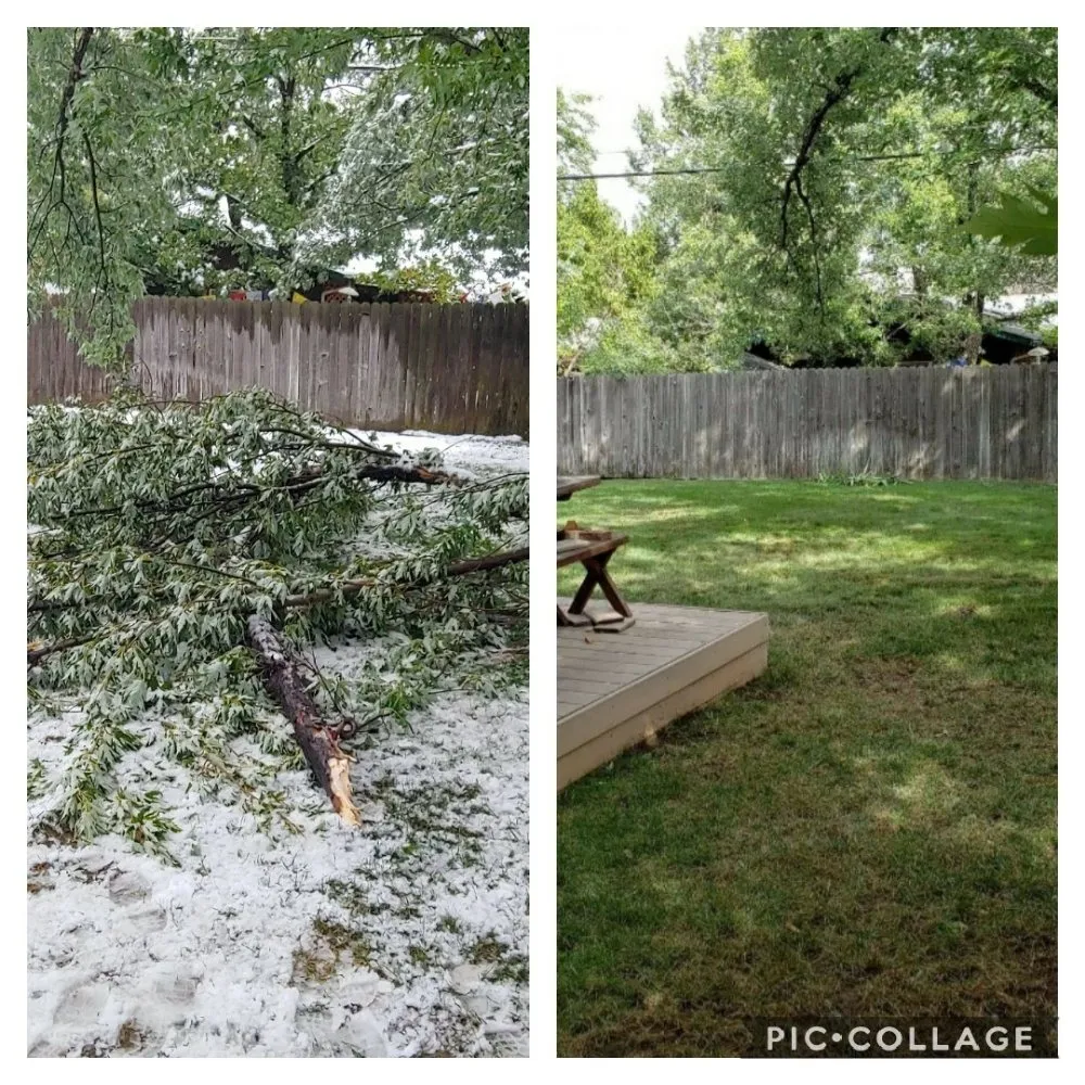 Affordable yard cleanup service for homes in Berthoud, CO by M & N Stump Grinding and Small Tree Services
