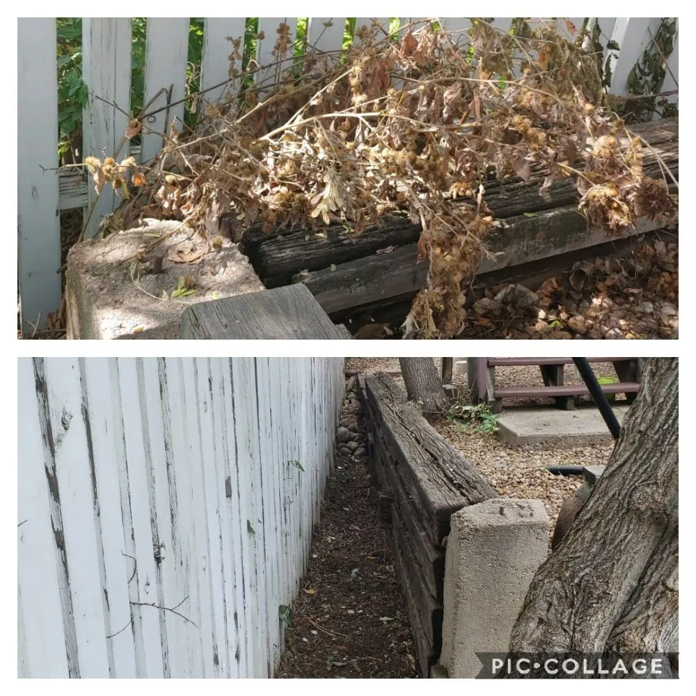 Professional yard cleanup service in Berthoud, CO - M & N Stump Grinding and Small Tree Services