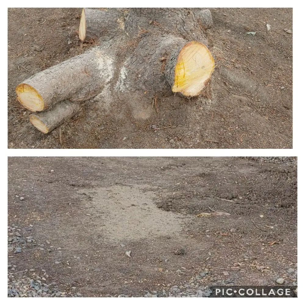 Local lawn mowing service for year-round maintenance across Berthoud, CO - M & N Stump Grinding and Small Tree Services