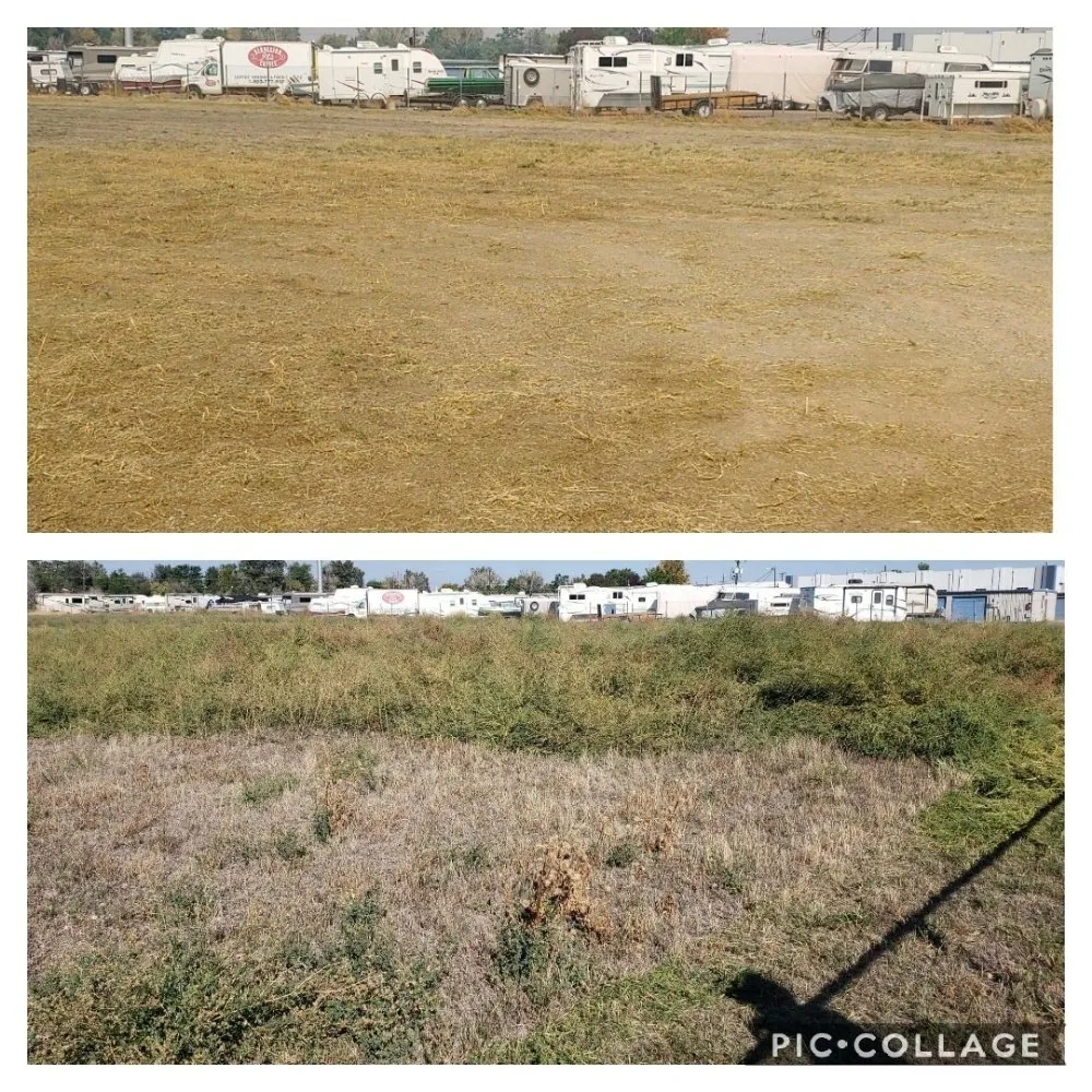 Trusted lawn mowing service experts serving Berthoud, CO - M & N Stump Grinding and Small Tree Services