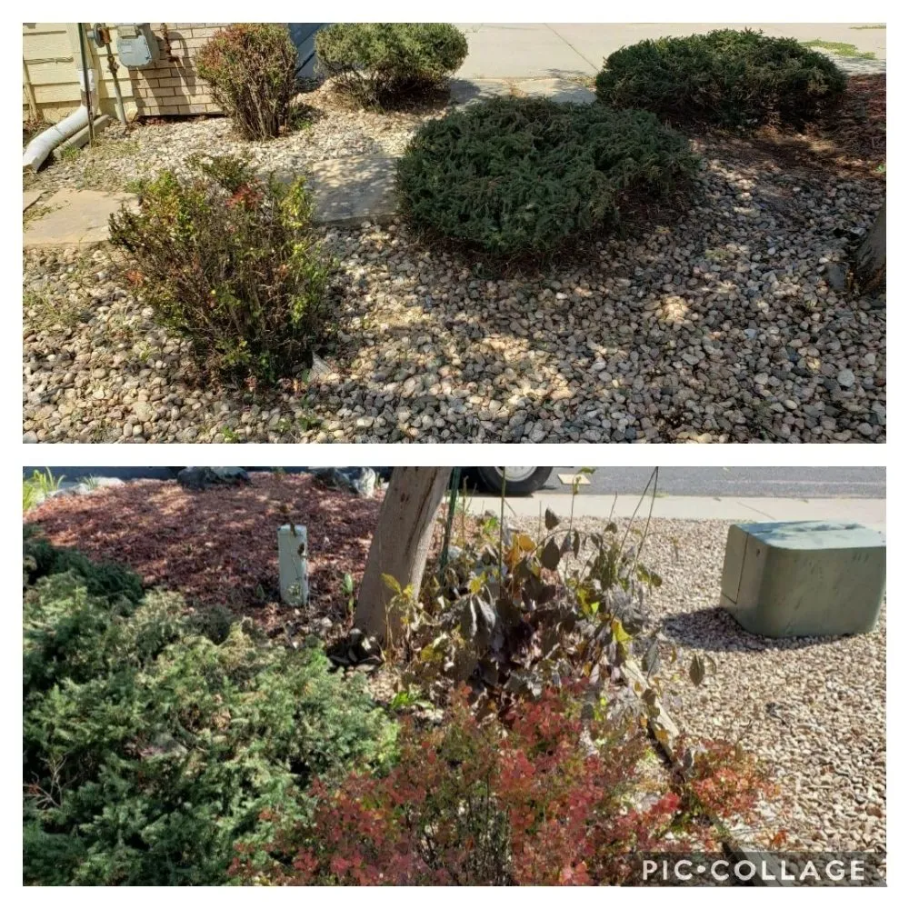 Local lawn mowing service in Berthoud, CO by M & N Stump Grinding and Small Tree Services