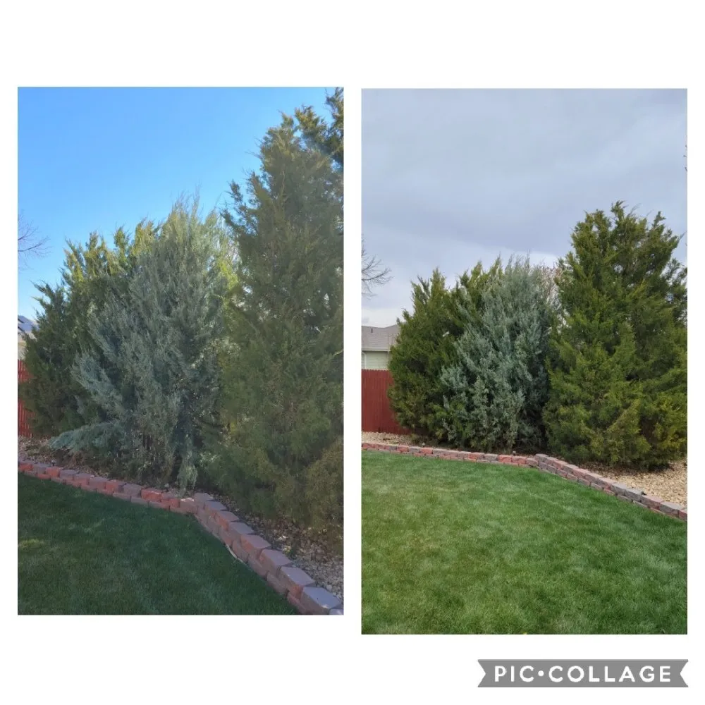 Local outdoor landscaping near you in Berthoud, CO by M & N Stump Grinding and Small Tree Services