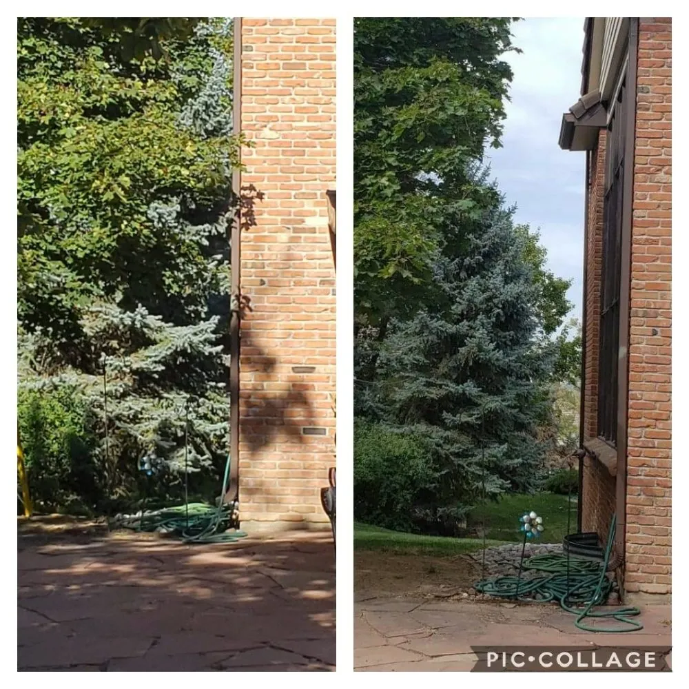 Local garden landscaping experts serving Berthoud, CO - M & N Stump Grinding and Small Tree Services