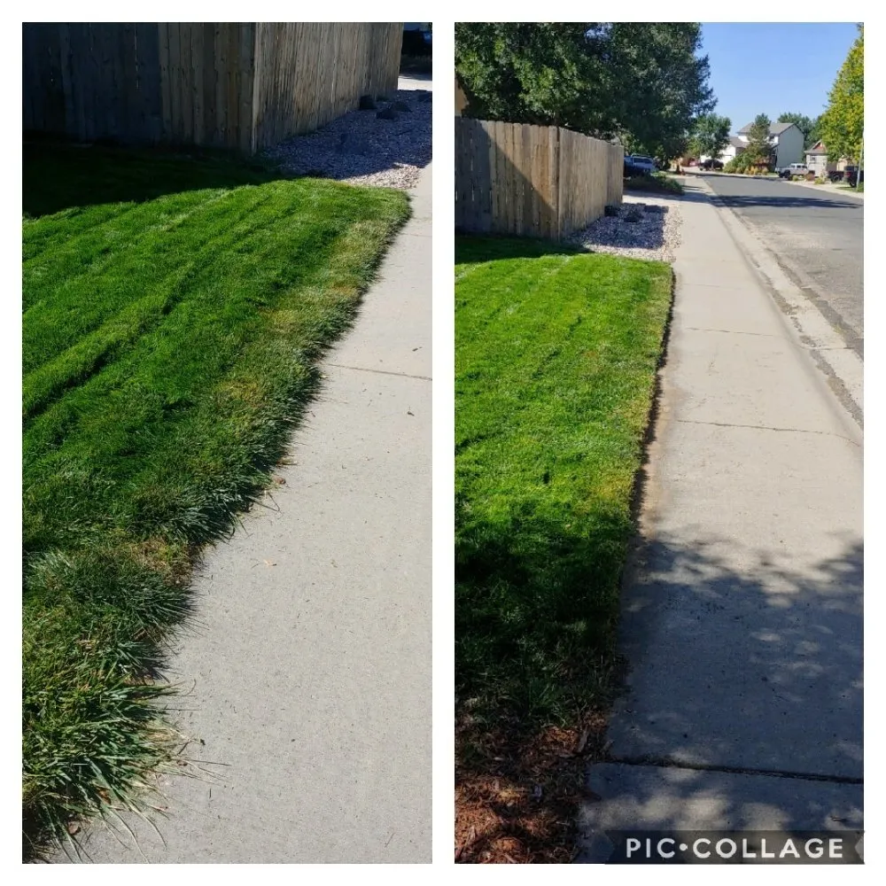 Trusted landscape design near you in Berthoud, CO by M & N Stump Grinding and Small Tree Services