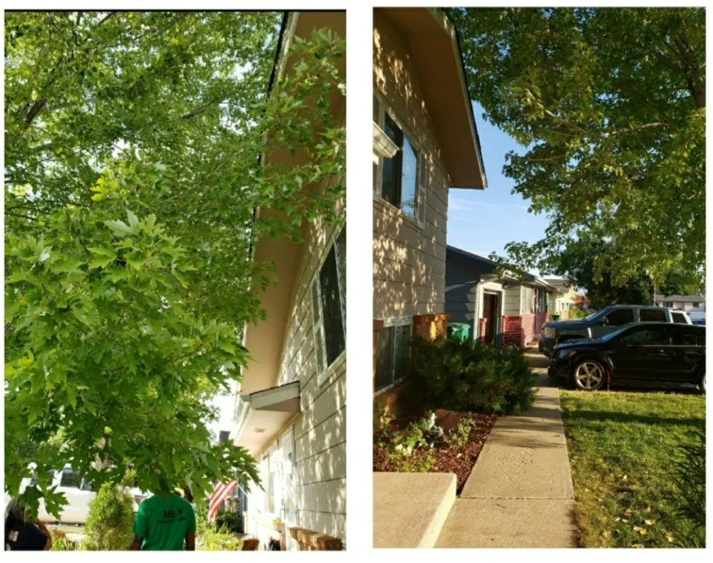 Trusted landscape installation for residential properties in Berthoud, CO by M & N Stump Grinding and Small Tree Services