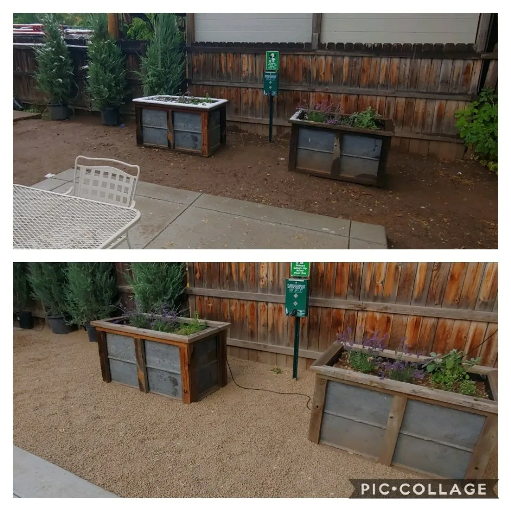 Professional lawn care service experts serving Berthoud, CO - M & N Stump Grinding and Small Tree Services