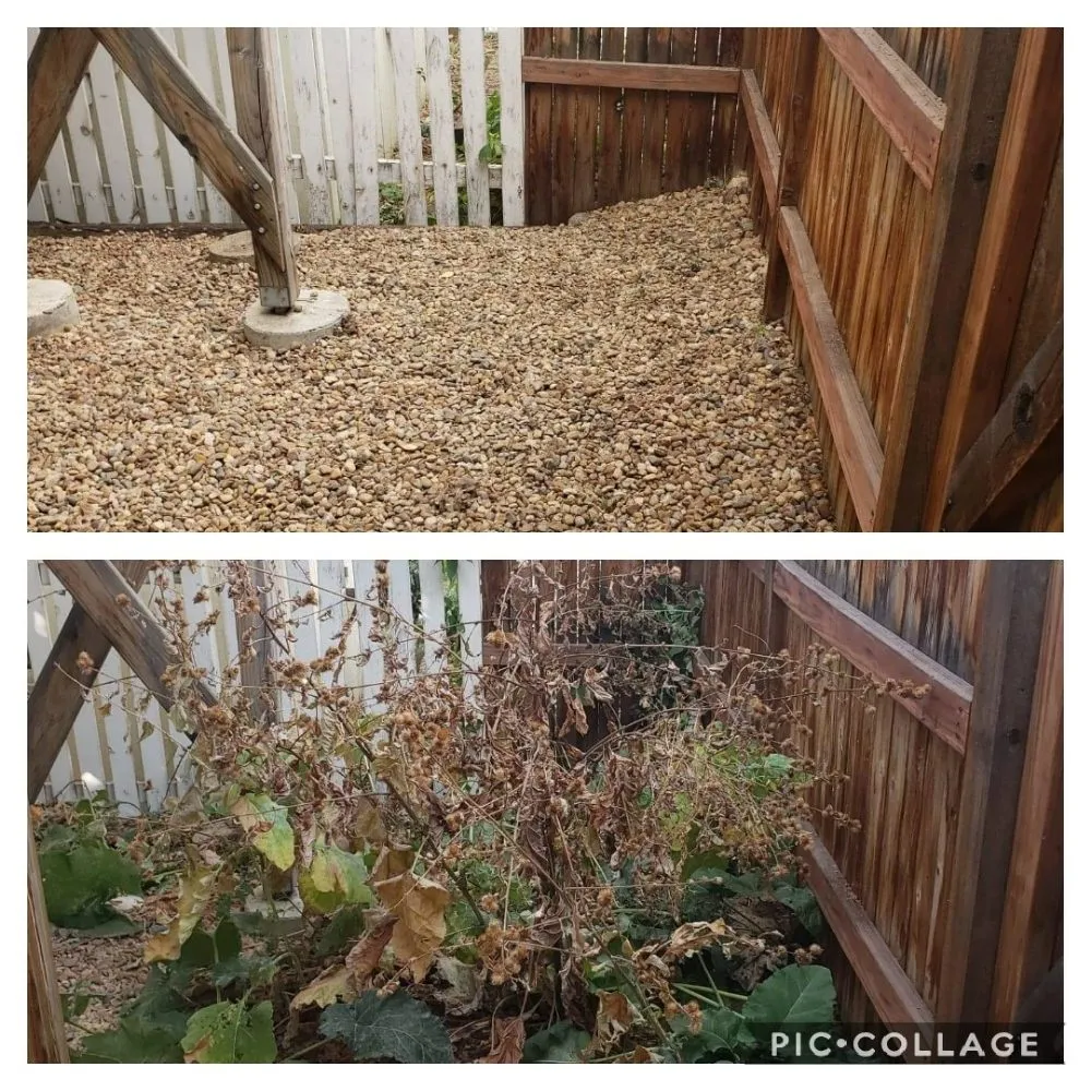 Reliable landscape design in Berthoud, CO by M & N Stump Grinding and Small Tree Services