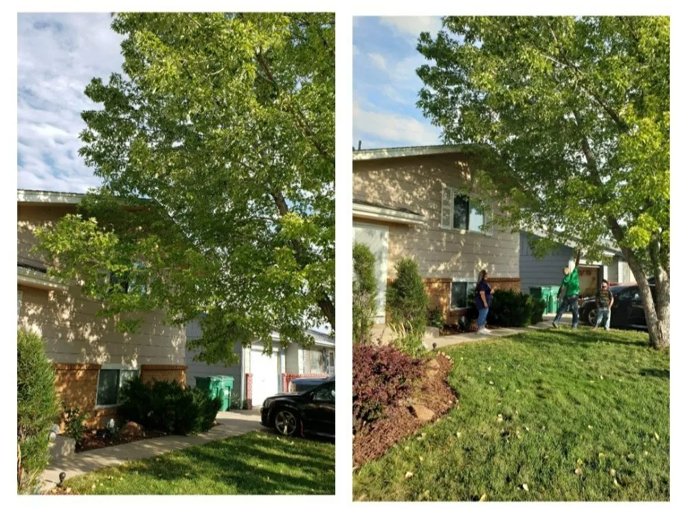 Custom garden landscaping for outdoor upgrades across Berthoud, CO - M & N Stump Grinding and Small Tree Services