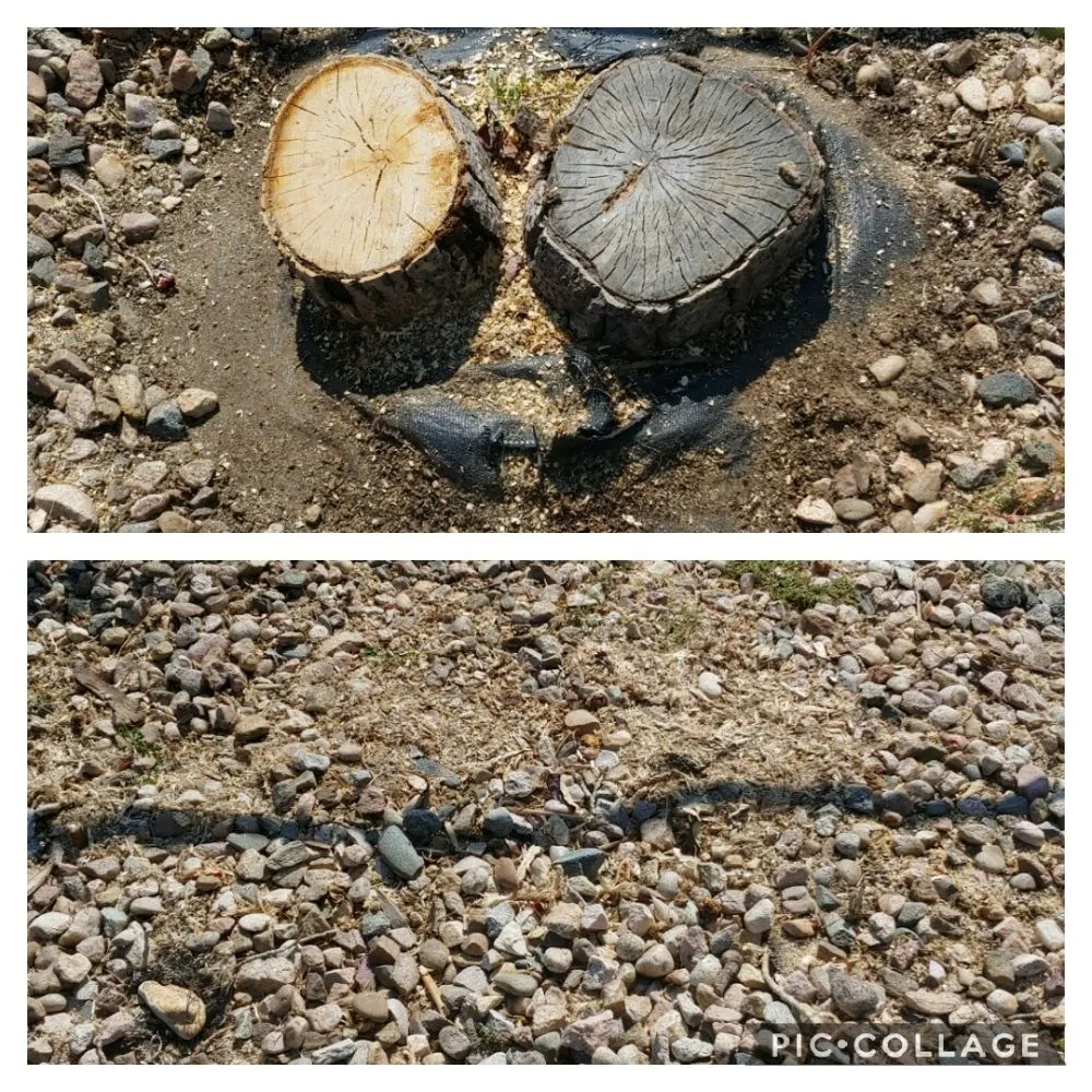 Reliable outdoor landscaping for residential properties across Berthoud, CO - M & N Stump Grinding and Small Tree Services