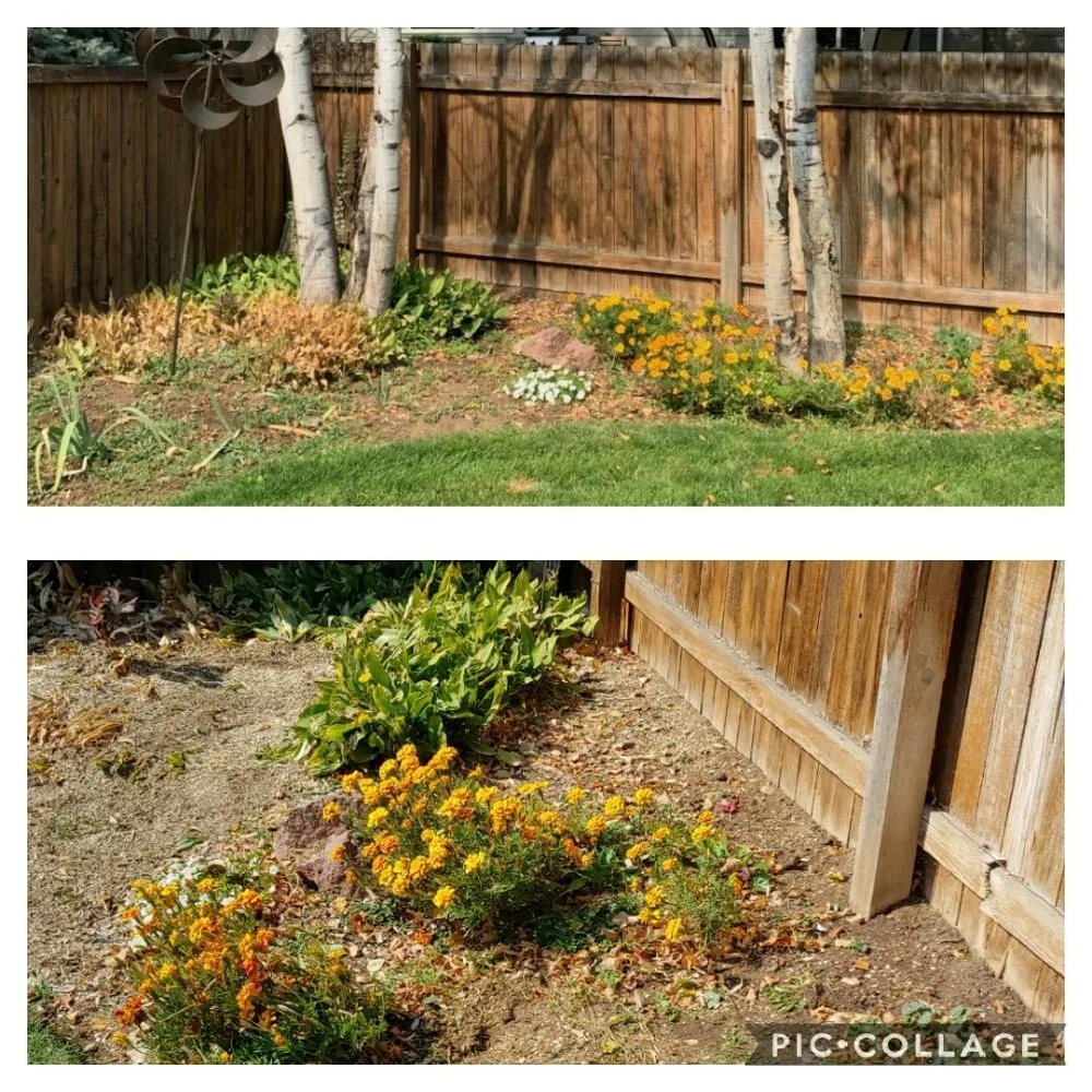 Expert lawn care service in Berthoud, CO - M & N Stump Grinding and Small Tree Services