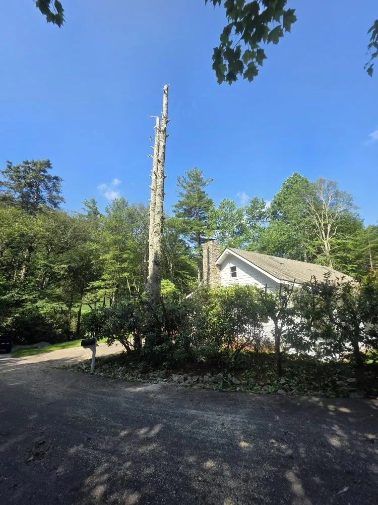 Local residential landscaping in Franklin, NC - M & R Hauling and Delivery