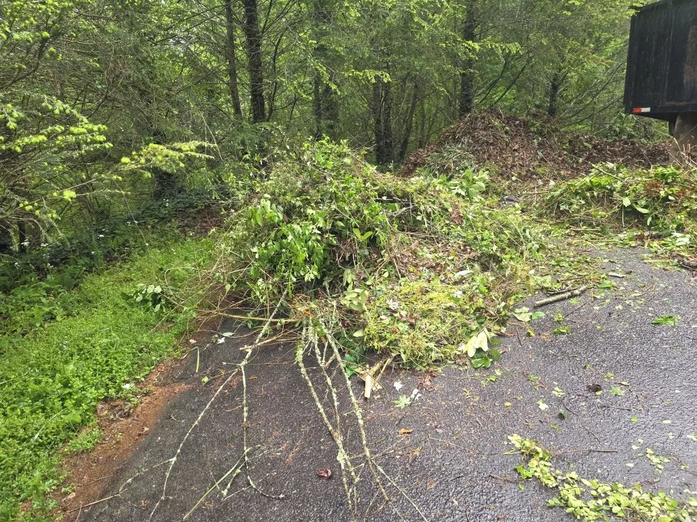 Expert lawn mowing service in Franklin, NC - M & R Hauling and Delivery