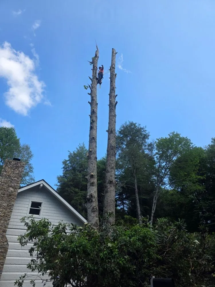 Trusted garden landscaping in Franklin, NC - M & R Hauling and Delivery