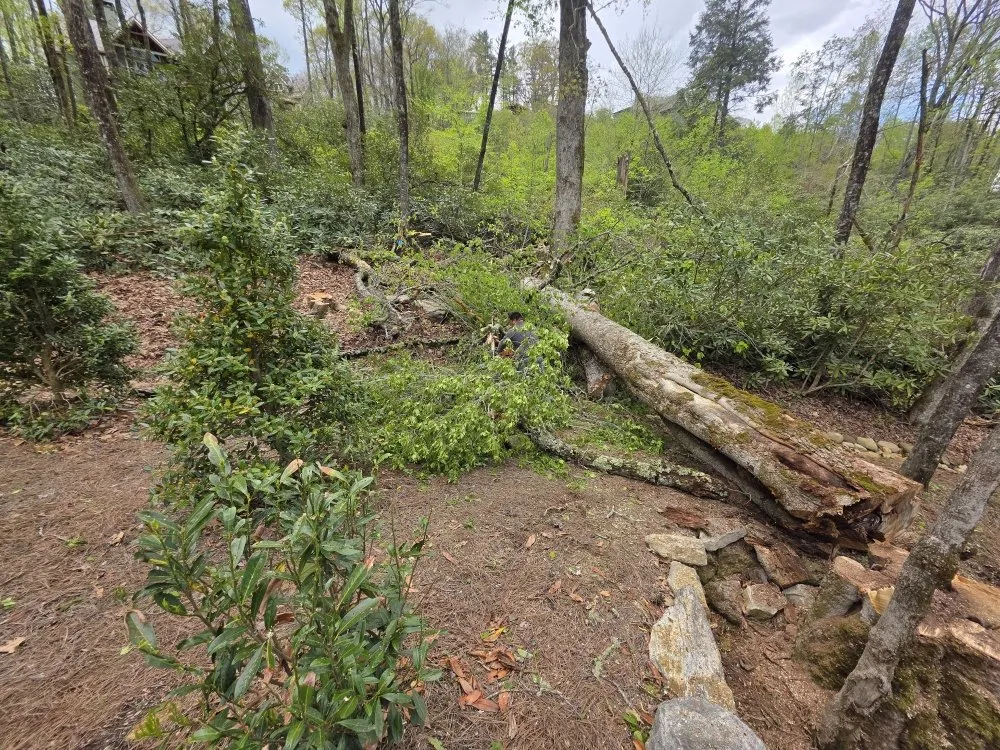 Top-rated landscaping services in Franklin, NC - M & R Hauling and Delivery