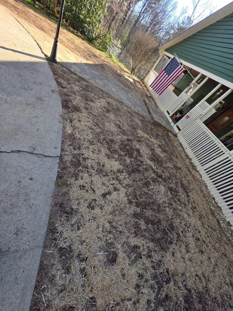 Top-rated residential landscaping in Franklin, NC by M & R Hauling and Delivery