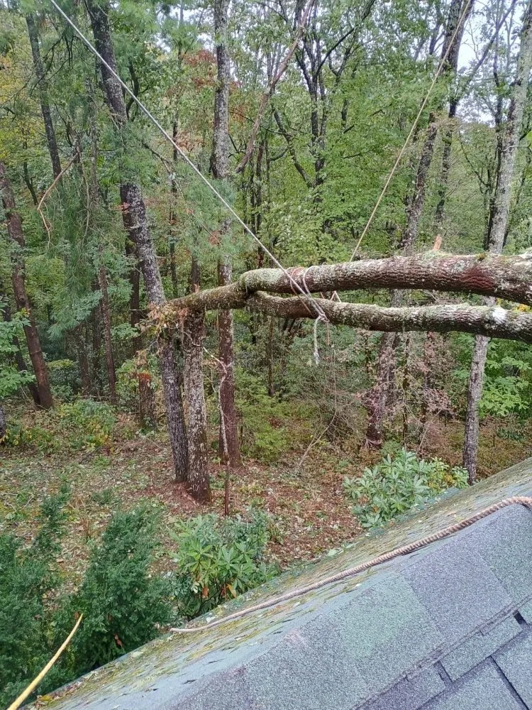 Reliable lawn care service for homes across Franklin, NC - M & R Hauling and Delivery