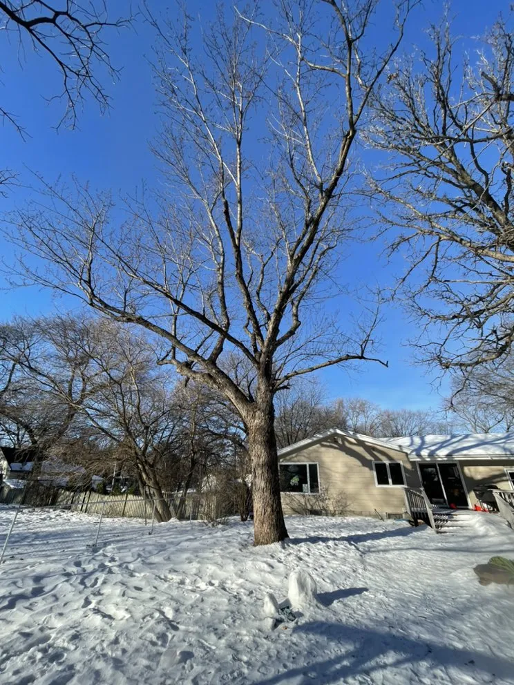 Custom landscape design for homes across Fridley, MN - M & R landscape & Tree Service