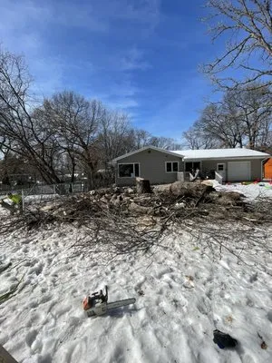 M & R landscape & Tree Service