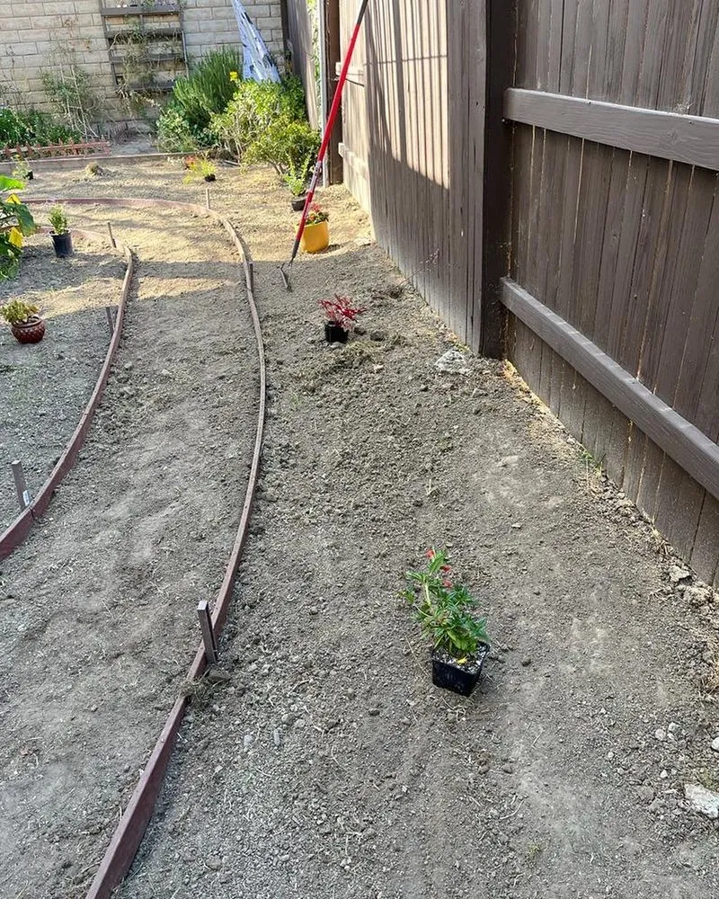 Local yard cleanup service in Oxnard, CA by M & R Landscape and Maintenance