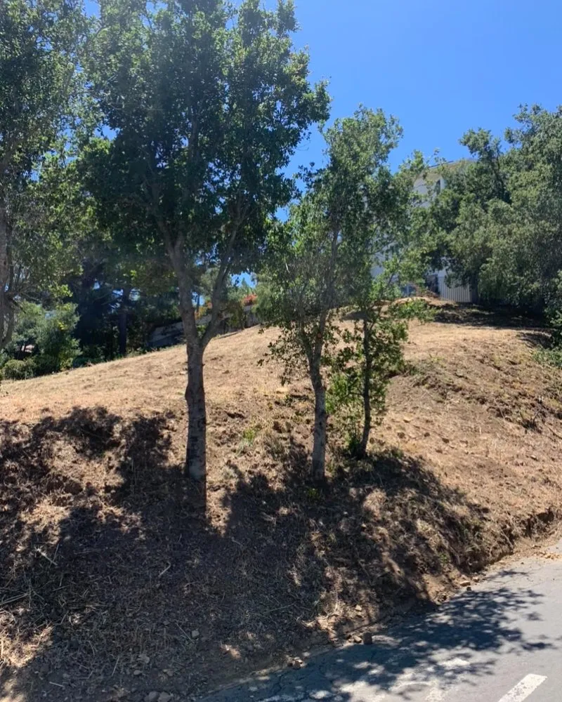 Custom yard maintenance experts serving Oxnard, CA - M & R Landscape and Maintenance