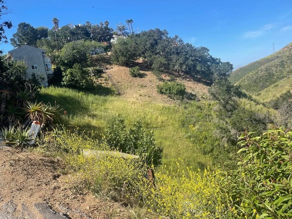 Local yard maintenance for homes across Oxnard, CA - M & R Landscape and Maintenance