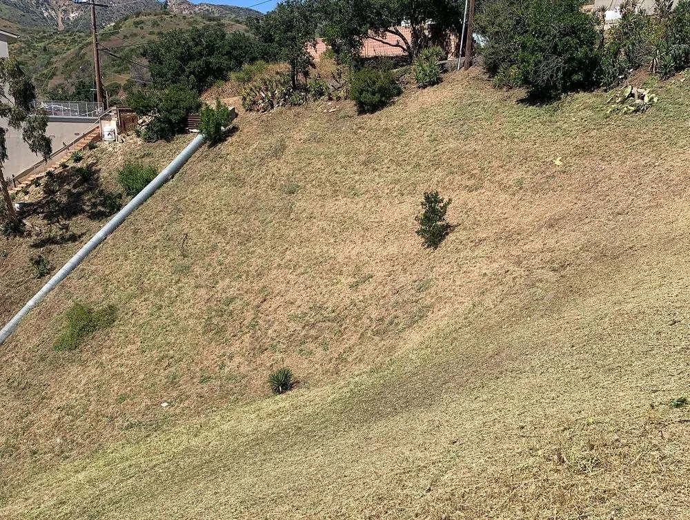 Top-rated yard cleanup service in Oxnard, CA by M & R Landscape and Maintenance