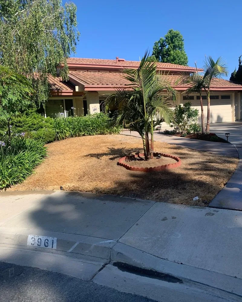 Professional landscape installation in Oxnard, CA - M & R Landscape and Maintenance