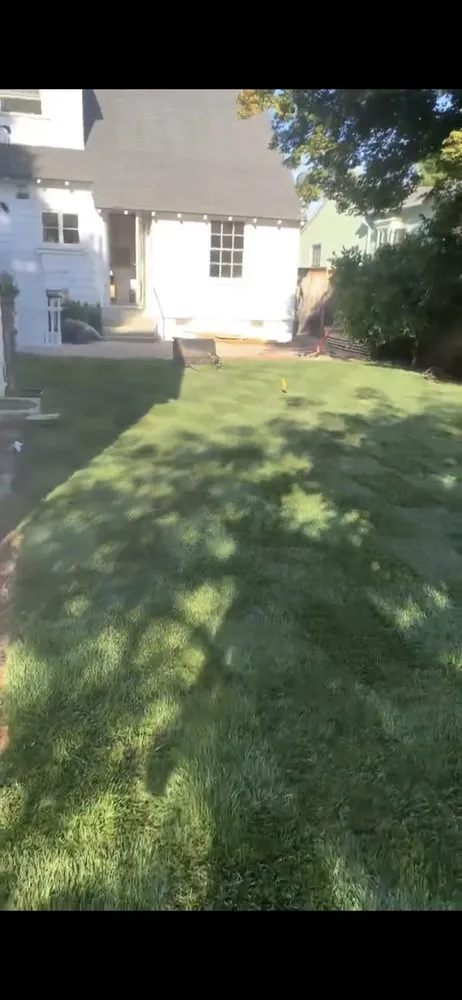 Affordable yard cleanup service for year-round maintenance in Oxnard, CA by M & R Landscape and Maintenance