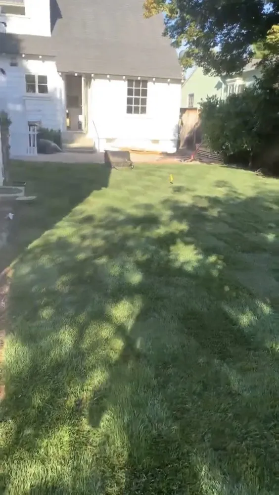 Professional lawn care service for homes in Oxnard, CA by M & R Landscape and Maintenance