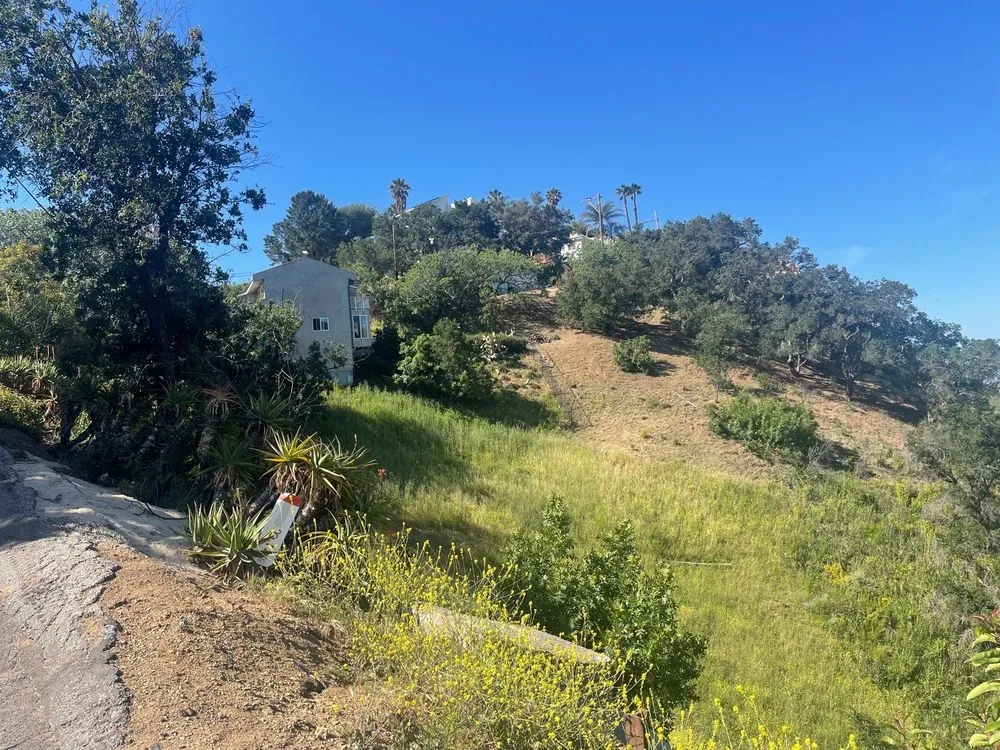 Expert lawn mowing service near you in Oxnard, CA by M & R Landscape and Maintenance