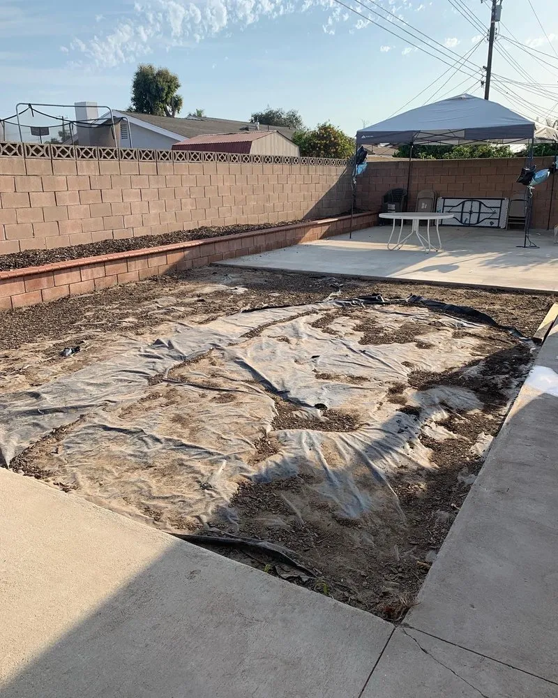 Expert yard maintenance near you across Oxnard, CA - M & R Landscape and Maintenance