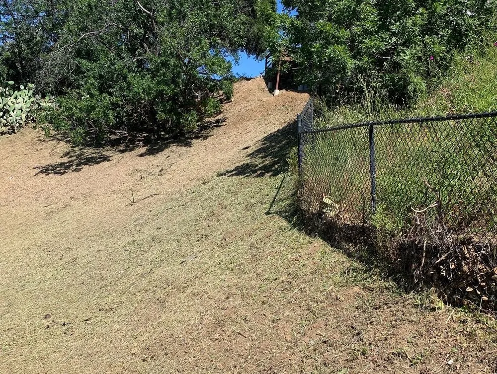 Local yard cleanup service in Oxnard, CA - M & R Landscape and Maintenance