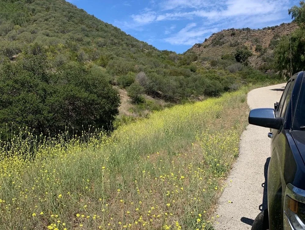 Custom residential landscaping for beautiful yards across Oxnard, CA - M & R Landscape and Maintenance