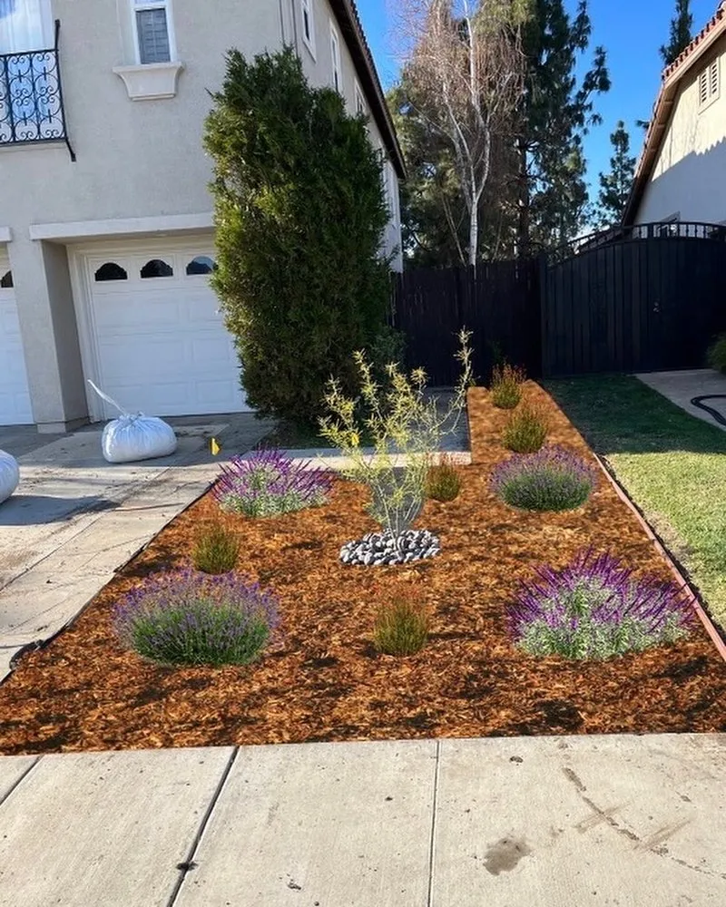 Reliable outdoor landscaping near you across Oxnard, CA - M & R Landscape and Maintenance