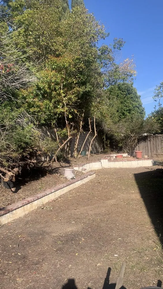 Trusted garden landscaping experts serving Oxnard, CA - M & R Landscape and Maintenance