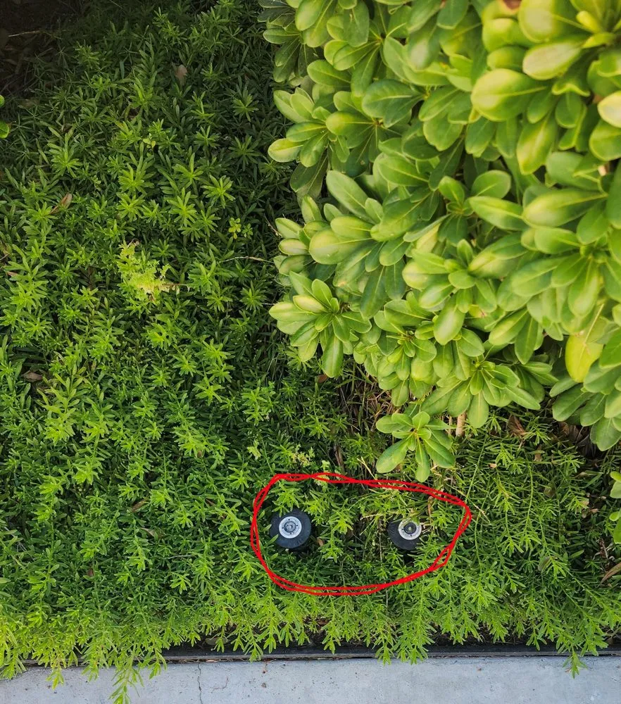 Affordable yard cleanup service for homes across Moorpark, CA - M & R Landscape Construction