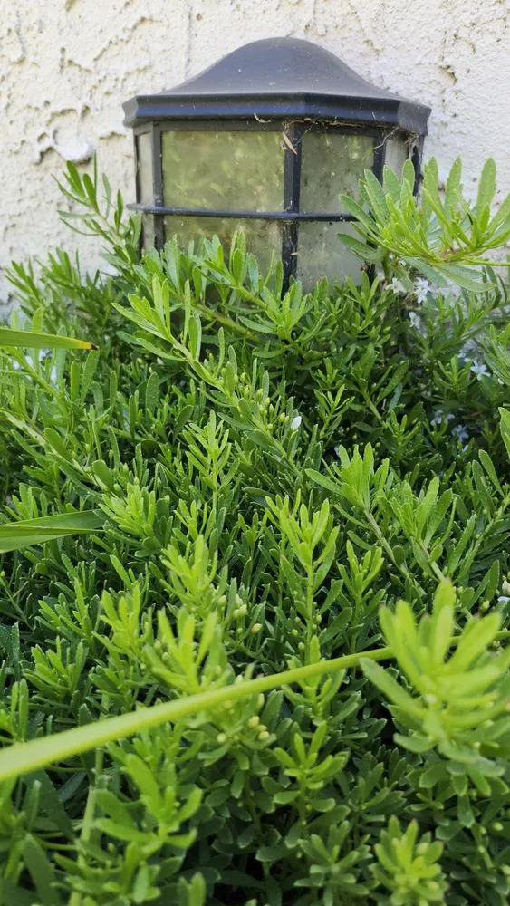 Top-rated outdoor landscaping in Moorpark, CA by M & R Landscape Construction