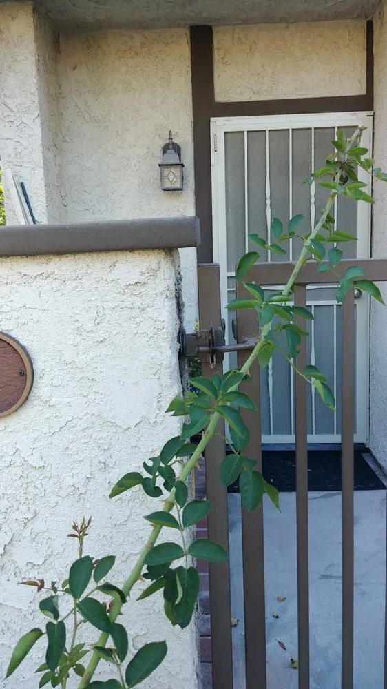 Expert outdoor landscaping in Moorpark, CA - M & R Landscape Construction