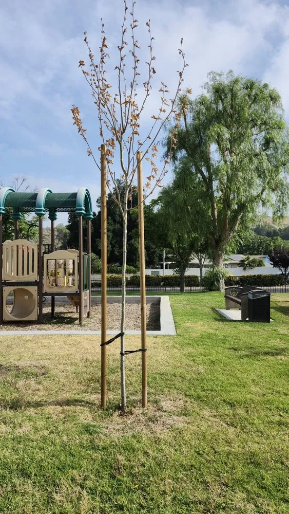 Expert yard maintenance with custom design across Moorpark, CA - M & R Landscape Construction