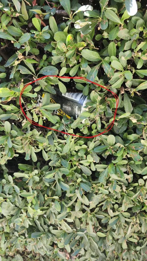 Expert outdoor landscaping for beautiful yards in Moorpark, CA by M & R Landscape Construction